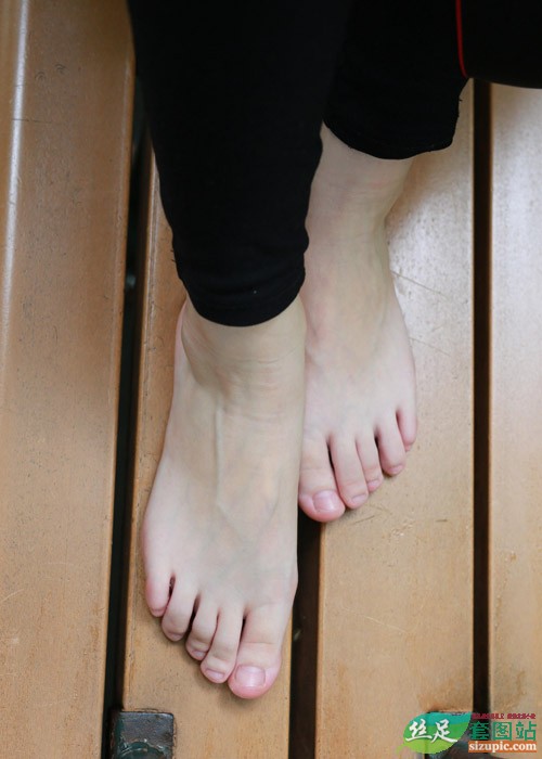 Ԥ��ͼ20.jpg