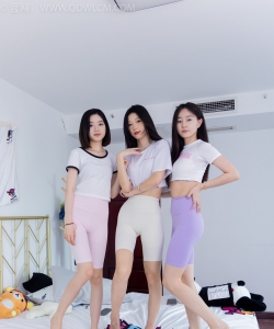 ������ý NO.1804 С��&����&����-Ԫ������[186P+1V]