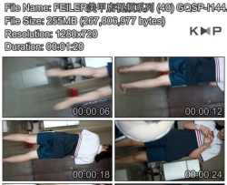 FEILER���׵���Ƶϵ�� (40) GQSP-I144