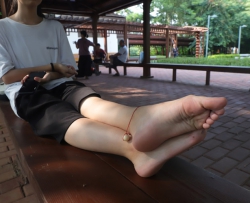 ��Paryѧ��ģ�ġ��е㺦�ߵ�С��ͬѧ�����գ�115p��