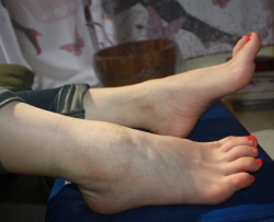 ���Ľ�����ѩ������͸�����͸Ѫ����һ���о��� 55P CZZJY-U125