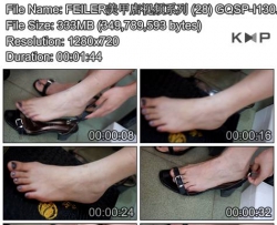 FEILER���׵���Ƶϵ�� (28) GQSP-I130