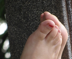 ��֧���ӳ�ǽ���ڶ���[20p] CZZJY-N041
