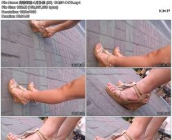 �������-8�²��� (55)  GQSP-C173