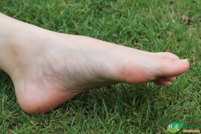 ��վģ��-�ݵ��ϵ�ѩ������(һ) 59P