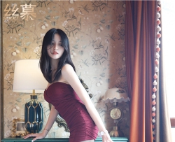 ˿Ľд��  SM329 ��ܽ���ּ����ٸ���[74P 253M �ٶ�����]