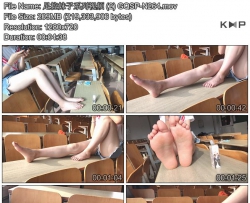 �������ϵ����Ƶ (2)