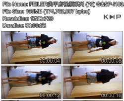 FEILER���׵���Ƶϵ�� (76) GQSP-I183