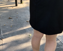 ��԰���ٸ����������㡾10P��