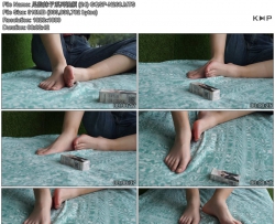�������ϵ����Ƶ (24)