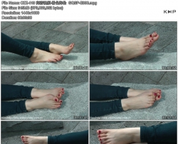 CZZ-419 ������Ƶ-��ɫ����  GQSP-E096