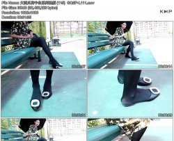 �����ϸ�����ϵ����Ƶ (115)  GQSP-L111