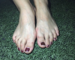 ����ɢ�����ģ����������� 23P