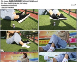 �������ϵ����Ƶ (13)
