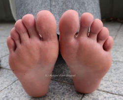 ��ѧ���͸����������� ��42P�� CZZJY-T150