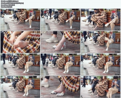 02��ҵ��1080P