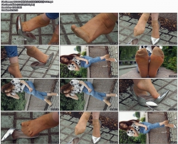 xgtt00143��������ͼ�� ��Ь����С�����ճ����� 82P/815MB