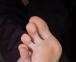 ���������ļ�Ʒ���㣨42p�� CZZJY-S026