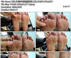 FEILER���׵���Ƶϵ�� (72) GQSP-I179