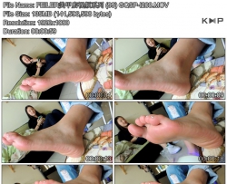 FEILER���׵���Ƶϵ�� (99) GQSP-I208
