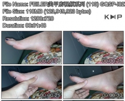 FEILER���׵���Ƶϵ�� (113) GQSP-I027