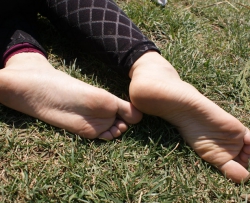 ������ģ��һ�ξ�����ˮӡԭͼ ������ 124P CZZJY-W089