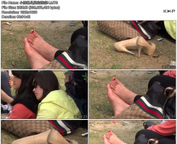 С������ŵ��ջ�H