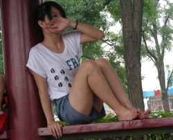 ��ƷС椣�����ȫ�̸������㣨88P��  CZZJY-Z483