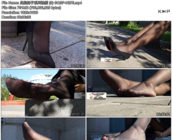�������ϵ����Ƶ (9)