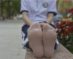 [ֻ���Ӿ�]620�ڣ�Ӿ�� �������[99P+1V��838MB]