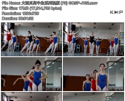 �����ϸ�����ϵ����Ƶ (79) GQSP-J132