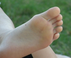 ��ֽ�۽ŵף�������ƺ��������ס�ˣ�32P�� CZZJY-N101