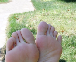 ��Ůaudrey���ľ������һ�ף�96P�� CZZJY-W152