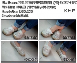FEILER���׵���Ƶϵ�� (70) GQSP-I177