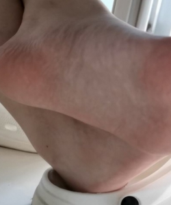 ����Ь��Ů 8v 15���� 2g