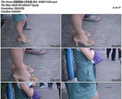 �������-8�²��� (38)  GQSP-C154