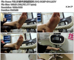 FEILER���׵���Ƶϵ�� (101) GQSP-I014