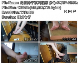 �������ϵ����Ƶ (21)