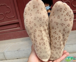 QJԭ��_ѧԺϵ�� (14) 85P