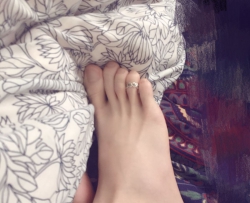 ѧ������ ��P 1.84G