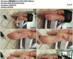 ������Ƶ2018-12 (23) GQSP-J233