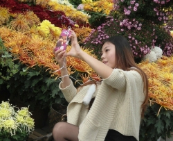 ¶��˿�����ʱ������ [17P]