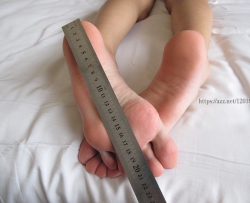 ��ģ��19P��