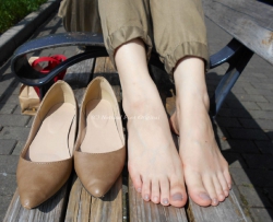 30�����ҳ���ʦ ��21P�� CZZJY-T003
