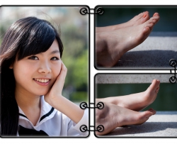 5D2+СС������---�������Ʒ��ջ�Ψ�����ݣ�33P�� CZZJY-P010