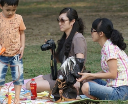 �����츾�浥�� 28p  CZZJY-Z546