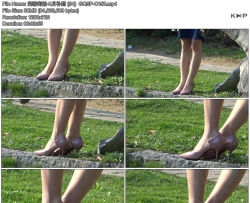 �������-8�²��� (34)  GQSP-C150
