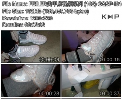 FEILER���׵���Ƶϵ�� (102) GQSP-I015