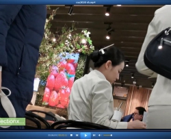 ��HSP's video1080P��һȺ SI WA �ս���Ь[06:17]