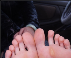 һ��Ҳ�в�ס�Ĵ������׷���68P�� CZZJY-N044
